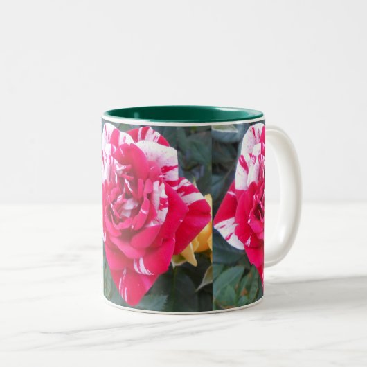 Tasse 2 Couleurs Ancienne (Devant droit)