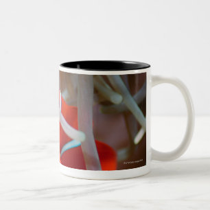 Tasse 2 Couleurs Anemonefish 2 de clown