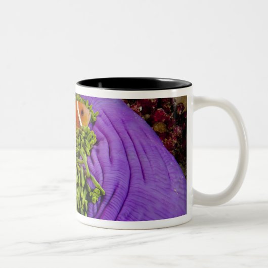 Tasse 2 Couleurs Anemonefish et grande anémone (Droit)