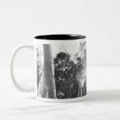 Tasse 2 Couleurs Angkor Cambodia, Détails Ta Prohm (Gauche)