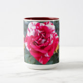 Tasse 2 Couleurs Anicia (Centre)