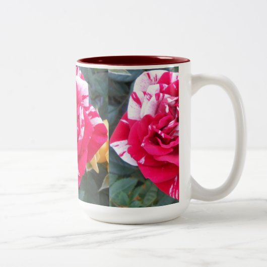 Tasse 2 Couleurs Anicia (Droit)
