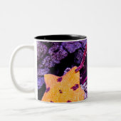 Tasse 2 Couleurs Animaux marins (Gauche)