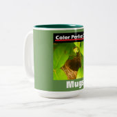 Tasse 2 Couleurs Annonce Nid Colibri (Devant gauche)