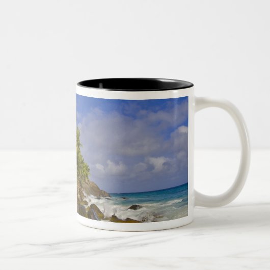 Tasse 2 Couleurs Anse Victorin Beach 4 (Droit)