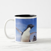 Tasse 2 Couleurs Antarctique, Adelie Penguin Pygoscelis (Gauche)