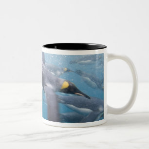 Tasse 2 Couleurs Antarctique, île de Géorgie du Sud UK