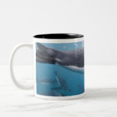 Tasse 2 Couleurs Antarctique, île de Géorgie du Sud UK (Gauche)