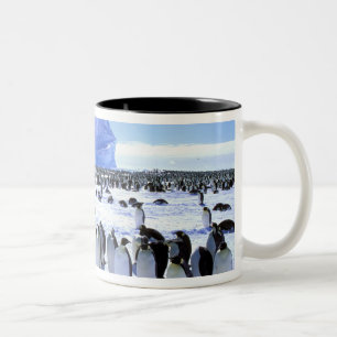 Tasse 2 Couleurs Antarctique, péninsule Antarctique, mer de Weddell