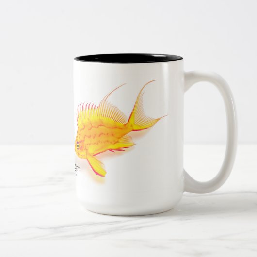 Tasse 2 Couleurs Anthias jaune hawaïen, fuscipinnis de Holanthias (Droit)