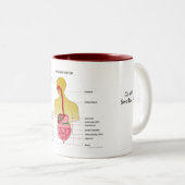 Tasse 2 Couleurs Appareil digestif… (Devant droit)