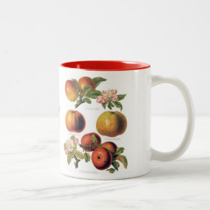 Tasse 2 Couleurs Apple attaquent (vous pouvez customiser)