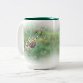 Tasse 2 Couleurs Araneus - Orb Weaver Spider (Devant gauche)