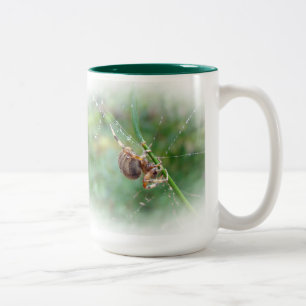 Tasse 2 Couleurs Araneus - Orb Weaver Spider