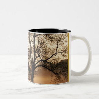 Tasse 2 Couleurs Arbre