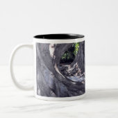 Tasse 2 Couleurs Arbres Banyans (Gauche)