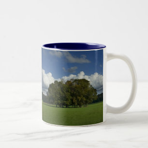 Tasse 2 Couleurs Arbres dans la boue de champ d'herbe