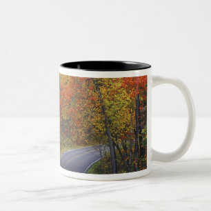 Tasse 2 Couleurs Arbres d'automne bordant la route dans le parc d'É