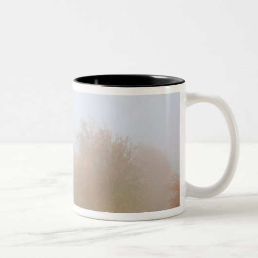 Tasse 2 Couleurs Arbres de chute enveloppés en brume (Droit)