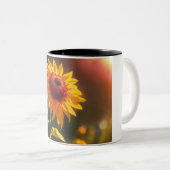 Tasse 2 Couleurs Arcane : Le Mage Enchantant (Devant droit)