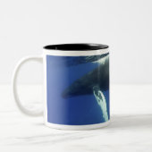 Tasse 2 Couleurs archipel des Caraïbes, Grande Antilles, (Gauche)