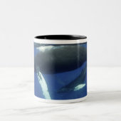 Tasse 2 Couleurs archipel des Caraïbes, Grande Antilles, (Centre)