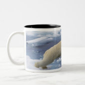 Tasse 2 Couleurs Arctique, Svalbard, Ours polaire s'étendant (Gauche)