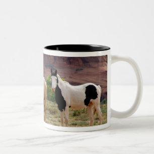 Tasse 2 Couleurs Arizona, réserve indienne Navajo, Chinle,
