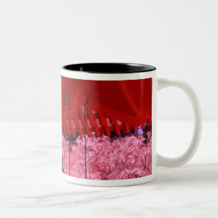 Tasse 2 Couleurs Asie, Japon, Kyoto, sanctuaire Heian au printemps.