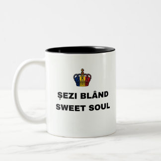 TASSE 2 COULEURS ASSIEDS-TOI DÉTENDU, ÂME SUAVE MUGUE À DEUX TONS