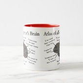 Tasse 2 Couleurs Atlas du cerveau d'un dentiste (Centre)