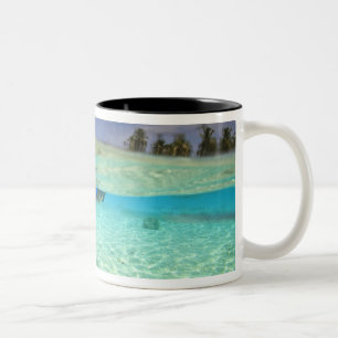 Tasse 2 Couleurs Atoll de Huvadhoo Sud, Maldives Sud, Inde