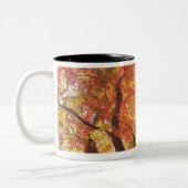 Tasse 2 Couleurs Automne (Gauche)
