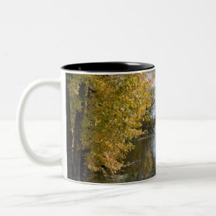 Tasse 2 Couleurs Automne au lac Black Dog