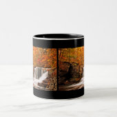 Tasse 2 Couleurs Automne aux automnes d'usine (Centre)