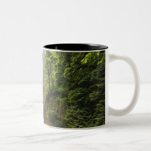Tasse 2 Couleurs Automnes de Latourell et gorge du fleuve Columbia