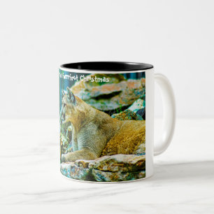 Tasse 2 Couleurs Avoir un Noël parfait