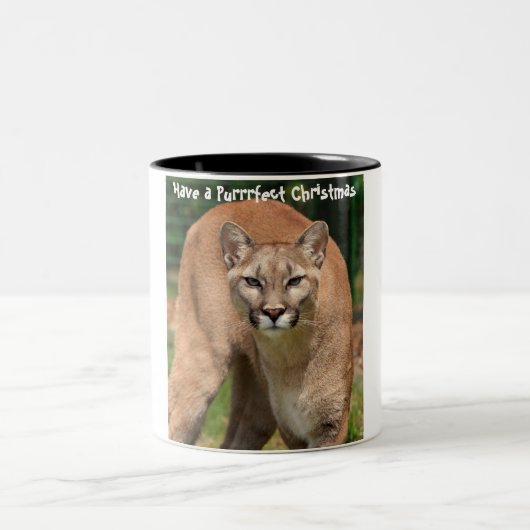 Tasse 2 Couleurs Avoir un Noël parfait (Centre)