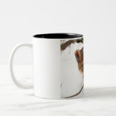 Tasse 2 Couleurs Avoir un Noël parfait (Gauche)