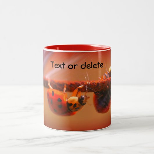 Tasse 2 Couleurs Balancing Ladybugs Nature Personnalisée (Centre)