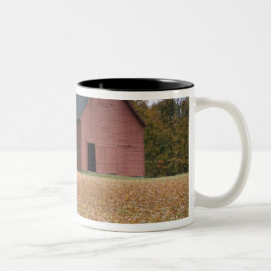 Tasse 2 Couleurs Balançoire en pneu le long d'une route dans le sud