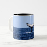 Baleine à bosse en océan