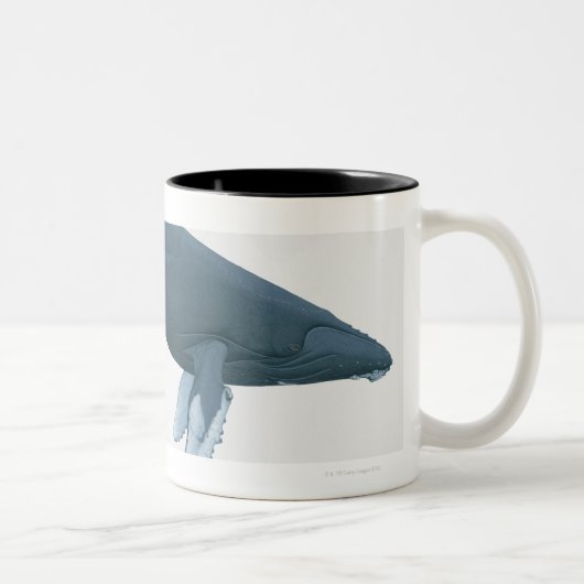 Tasse 2 Couleurs Baleine de bosse (Droit)
