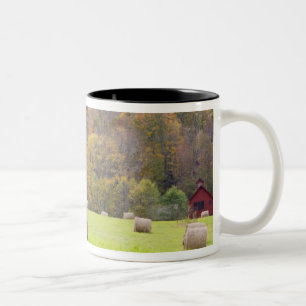 Tasse 2 Couleurs Balles de foin et feuillage d'automne à la ferme,