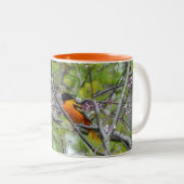 Tasse 2 Couleurs Baltimore Oriole (Devant droit)