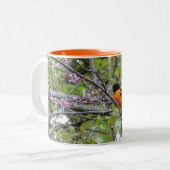Tasse 2 Couleurs Baltimore Oriole (Devant gauche)