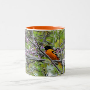 Tasse 2 Couleurs Baltimore Oriole