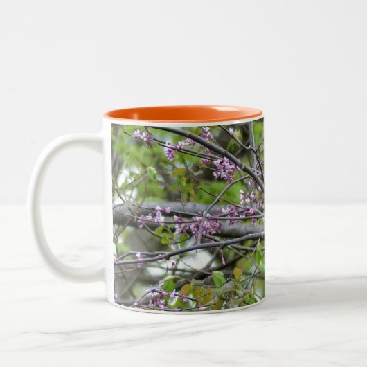 Tasse 2 Couleurs Baltimore Oriole (Gauche)