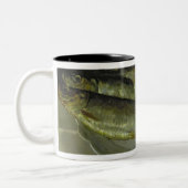 Tasse 2 Couleurs Baptême des chambellans (Gauche)