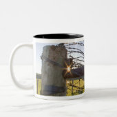 Tasse 2 Couleurs Barbelé roulé sur le fencerow près (Gauche)